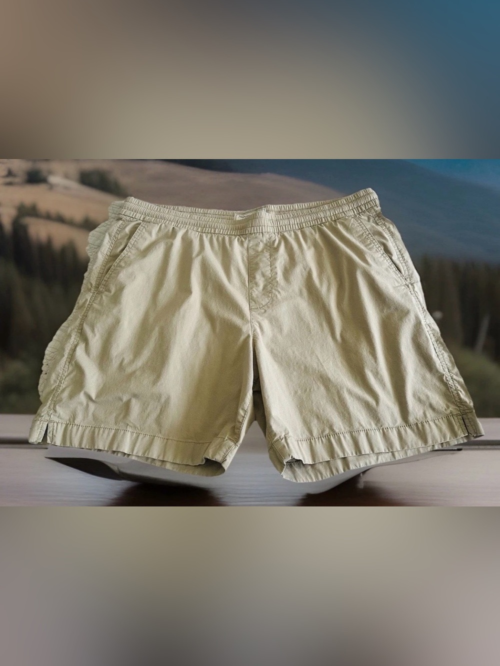 Abercrombie & Fitch Chino Shorts Mens XL Beige Stretch Elastic Casual Pockets